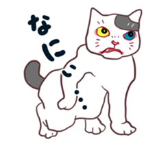 odd eye cat "KOUME" sticker #15876966