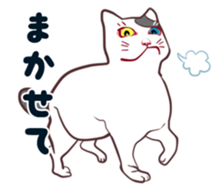 odd eye cat "KOUME" sticker #15876970