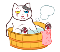 odd eye cat "KOUME" sticker #15876971