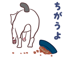 odd eye cat "KOUME" sticker #15876973