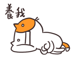 Shocked Cat sticker #15877640