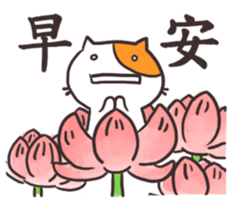 Shocked Cat sticker #15877647