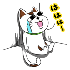 Ori-nyan Part 2 sticker #15877836