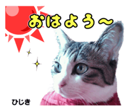 Peto Family Sticker sticker #15878602