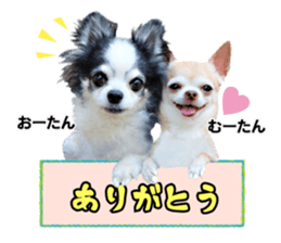 Peto Family Sticker sticker #15878604