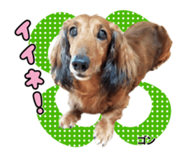 Peto Family Sticker sticker #15878606