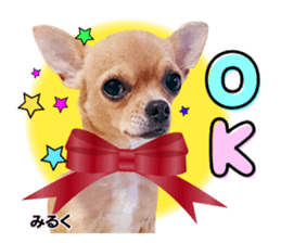 Peto Family Sticker sticker #15878607