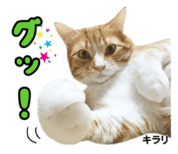 Peto Family Sticker sticker #15878609