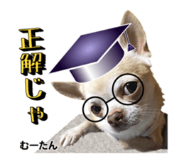 Peto Family Sticker sticker #15878610