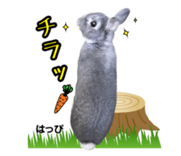 Peto Family Sticker sticker #15878611