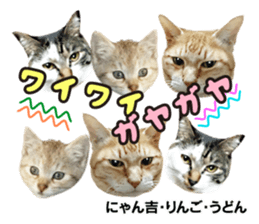 Peto Family Sticker sticker #15878615