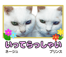 Peto Family Sticker sticker #15878618