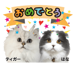 Peto Family Sticker sticker #15878619