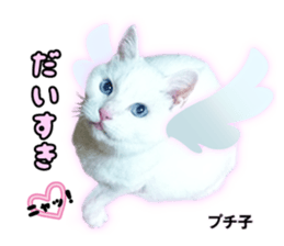 Peto Family Sticker sticker #15878620