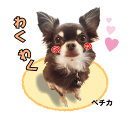 Peto Family Sticker sticker #15878621