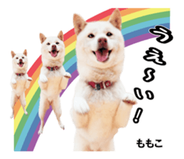 Peto Family Sticker sticker #15878622