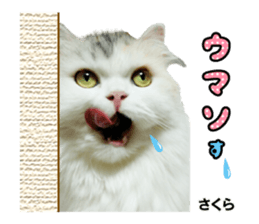 Peto Family Sticker sticker #15878623