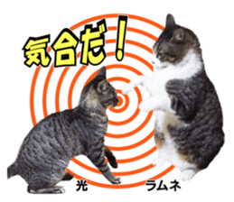 Peto Family Sticker sticker #15878625