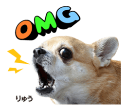 Peto Family Sticker sticker #15878626