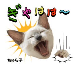 Peto Family Sticker sticker #15878627