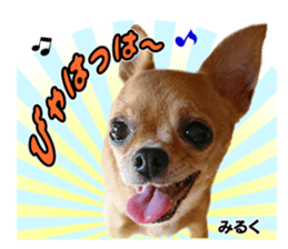 Peto Family Sticker sticker #15878628