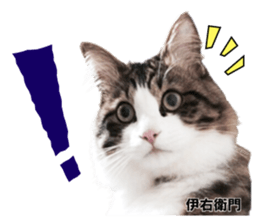 Peto Family Sticker sticker #15878630