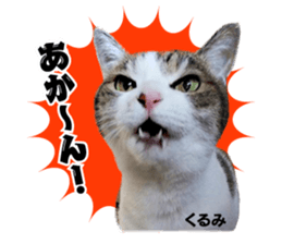 Peto Family Sticker sticker #15878631