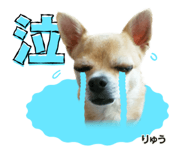 Peto Family Sticker sticker #15878632