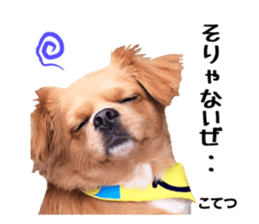 Peto Family Sticker sticker #15878635