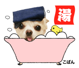 Peto Family Sticker sticker #15878639