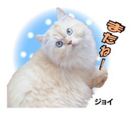 Peto Family Sticker sticker #15878640