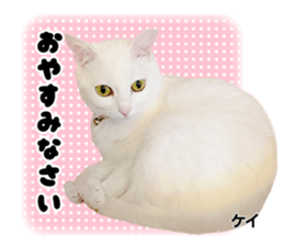 Peto Family Sticker sticker #15878641