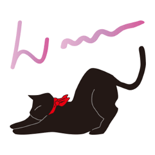 Kindergarten and black cat sticker #15878713