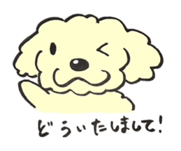 cute dog MARON sticker #15878735