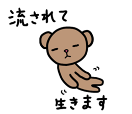 Bear cat sticker sticker #15879683