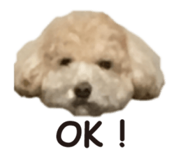 Sticker of zippy 2 sticker #15879994