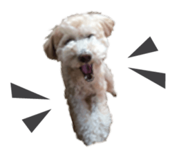 Sticker of zippy 2 sticker #15879996