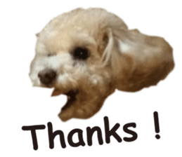 Sticker of zippy 2 sticker #15879997