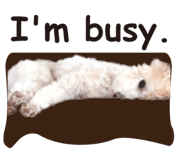 Sticker of zippy 2 sticker #15879998