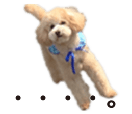 Sticker of zippy 2 sticker #15880000