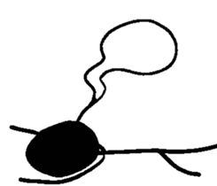 W's world-Black dot sticker #15880920