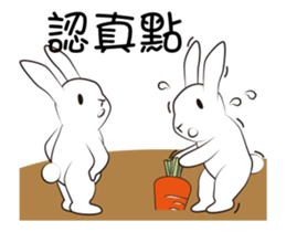 The daily routine of rabbits - 3 sticker #15881532