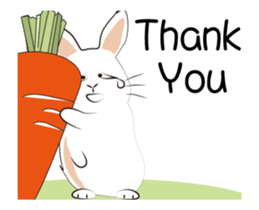 The daily routine of rabbits - 3 sticker #15881533