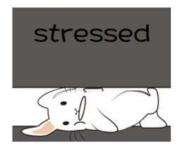 The daily routine of rabbits - 3 sticker #15881535