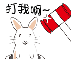 The daily routine of rabbits - 3 sticker #15881541