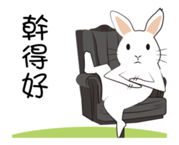The daily routine of rabbits - 3 sticker #15881542