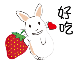 The daily routine of rabbits - 3 sticker #15881548