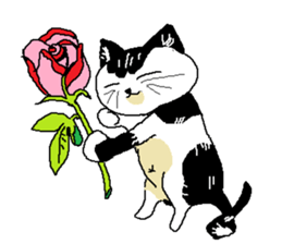 Sesame cat learning time sticker #15883466