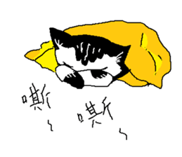 Sesame cat learning time sticker #15883468