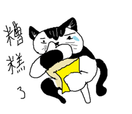 Sesame cat learning time sticker #15883470